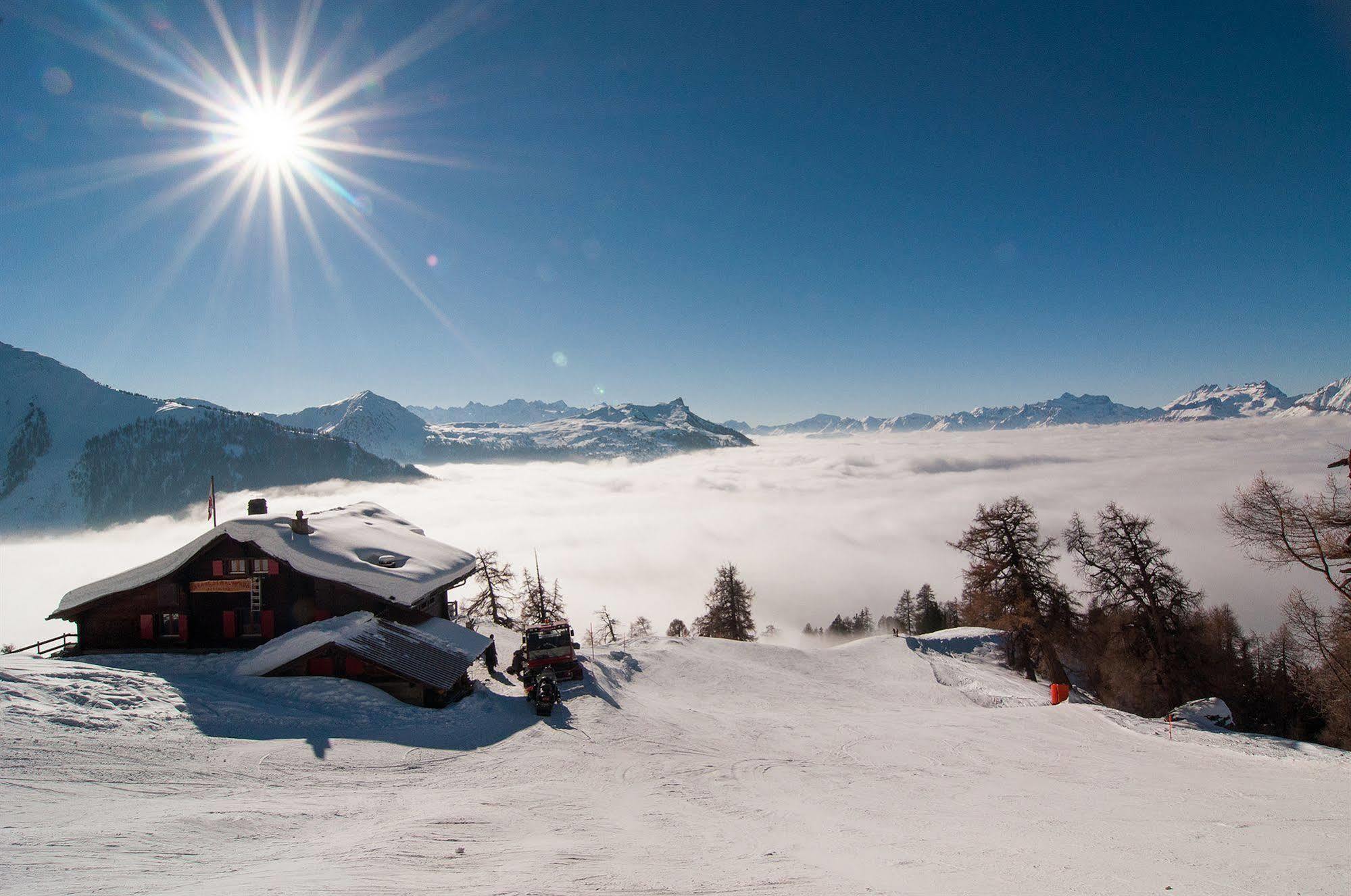 Alpine Comfort Lejlighed Nendaz Eksteriør billede